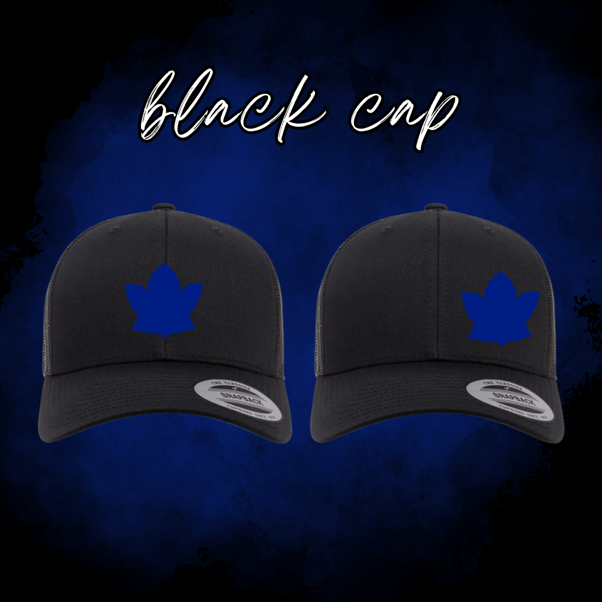 Holmlund Financial Leafs Cap